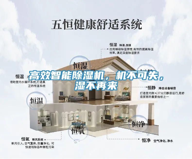 高效智能除濕機(jī)，機(jī)不可失，濕不再來