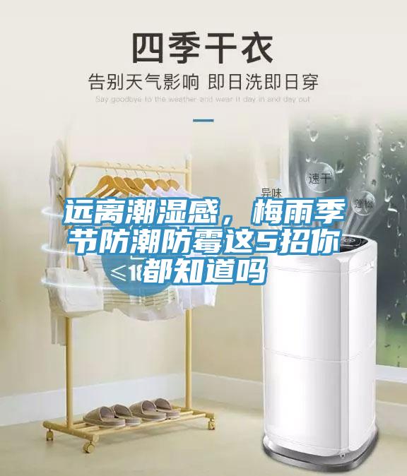 遠離潮濕感，梅雨季節(jié)防潮防霉這5招你都知道嗎