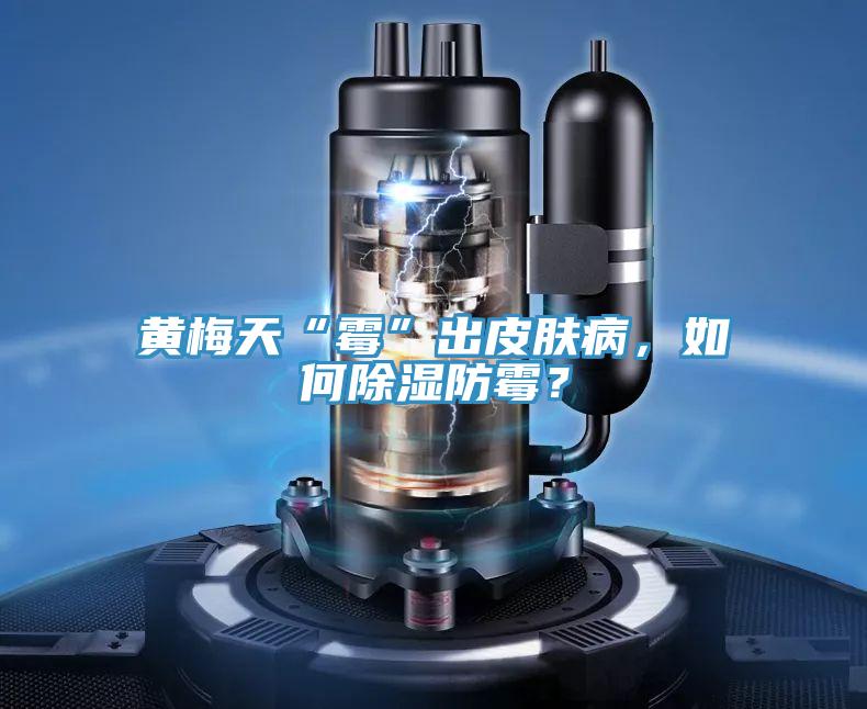 黃梅天“霉”出皮膚病，如何除濕防霉？