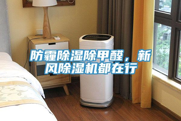 防霾除濕除甲醛，新風(fēng)除濕機(jī)都在行