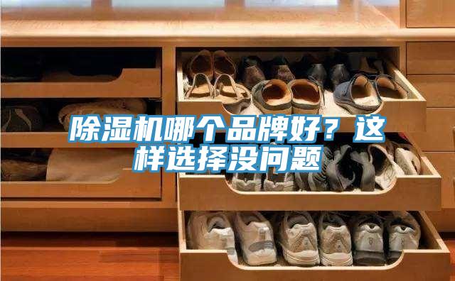除濕機(jī)哪個品牌好？這樣選擇沒問題