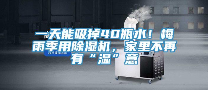 一天能吸掉40瓶水！梅雨季用除濕機(jī)，家里不再有“濕”意