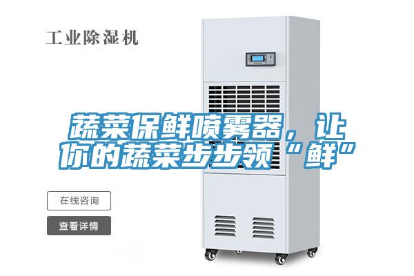 蔬菜保鮮噴霧器，讓你的蔬菜步步領(lǐng)“鮮”
