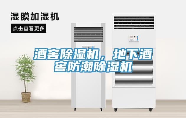 酒窖除濕機(jī)，地下酒窖防潮除濕機(jī)