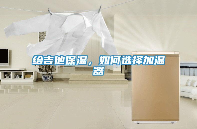 給吉他保濕，如何選擇加濕器