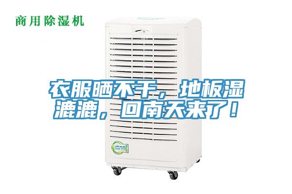 衣服曬不干，地板濕漉漉，回南天來了！