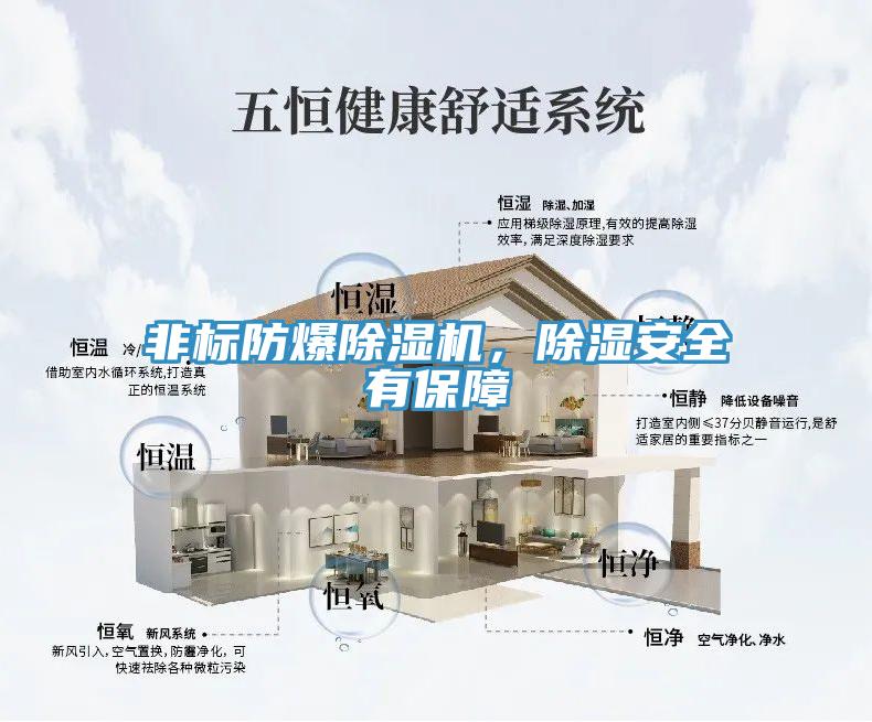 非標防爆除濕機，除濕安全有保障