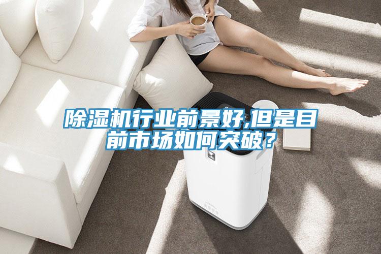 除濕機(jī)行業(yè)前景好,但是目前市場(chǎng)如何突破？