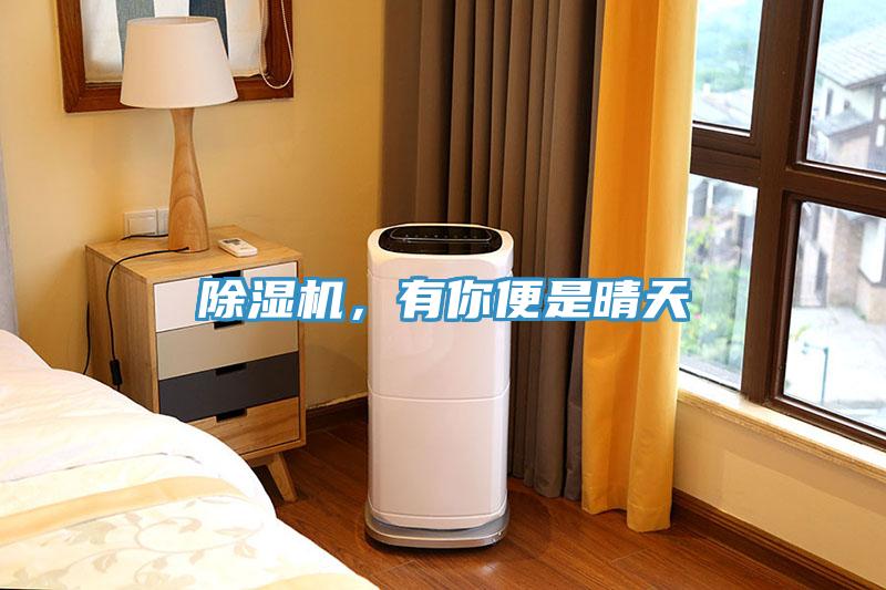 除濕機，有你便是晴天