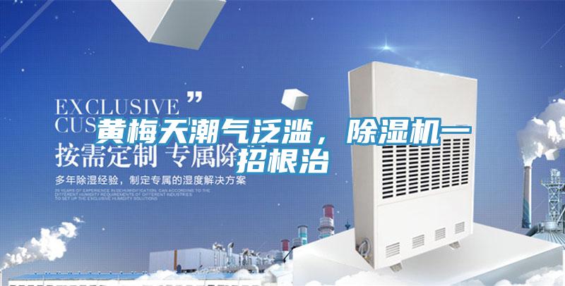 黃梅天潮氣泛濫，除濕機(jī)一招根治