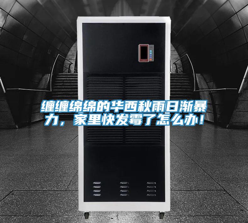 纏纏綿綿的華西秋雨日漸暴力，家里快發(fā)霉了怎么辦！