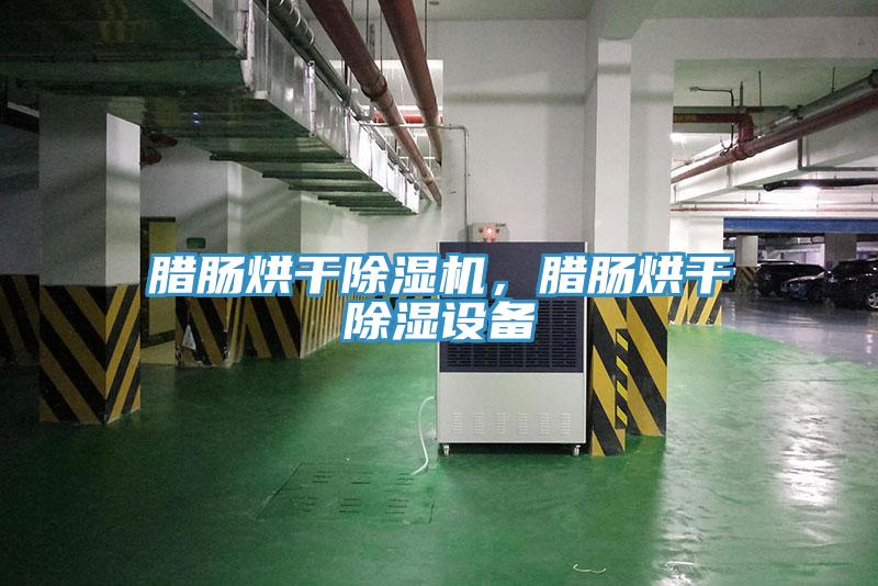 臘腸烘干除濕機，臘腸烘干除濕設(shè)備