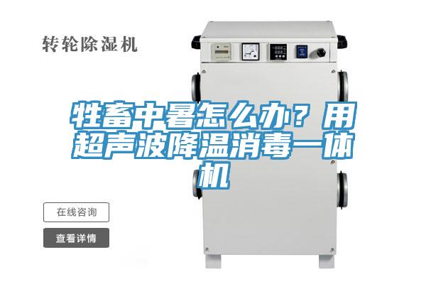 牲畜中暑怎么辦？用超聲波降溫消毒一體機(jī)