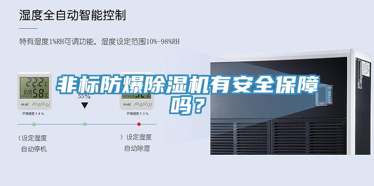 非標(biāo)防爆除濕機(jī)有安全保障嗎？