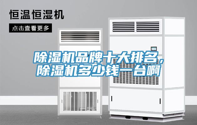 除濕機(jī)品牌十大排名，除濕機(jī)多少錢一臺啊