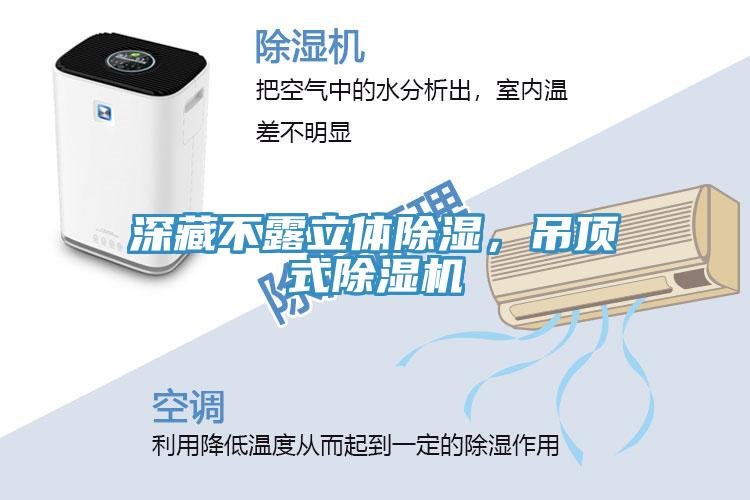 深藏不露立體除濕，吊頂式除濕機(jī)