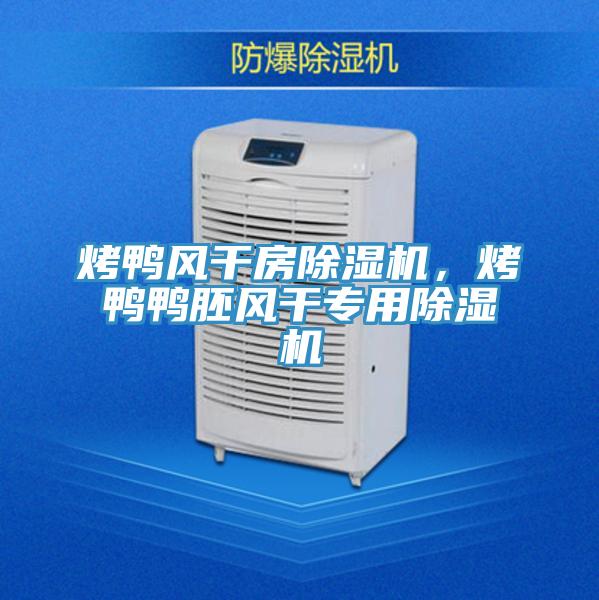 烤鴨風干房除濕機，烤鴨鴨胚風干專用除濕機
