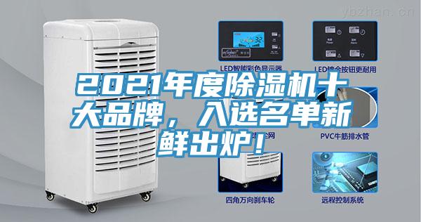 2021年度除濕機(jī)十大品牌，入選名單新鮮出爐！