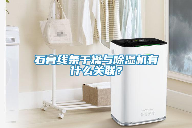 石膏線條干燥與除濕機(jī)有什么關(guān)聯(lián)？