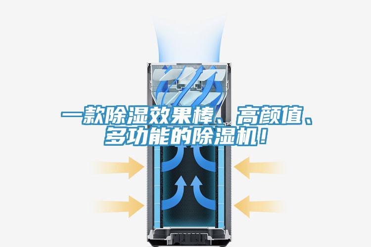一款除濕效果棒、高顏值、多功能的除濕機(jī)！