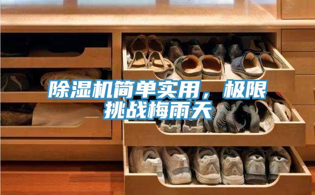 除濕機(jī)簡單實(shí)用，極限挑戰(zhàn)梅雨天