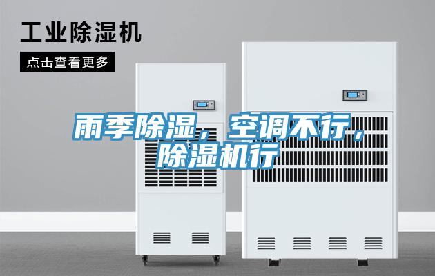雨季除濕，空調(diào)不行，除濕機(jī)行