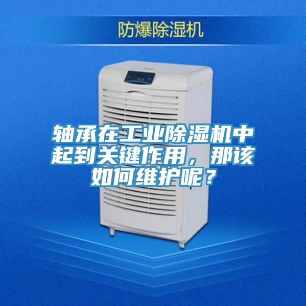 軸承在工業(yè)除濕機(jī)中起到關(guān)鍵作用，那該如何維護(hù)呢？