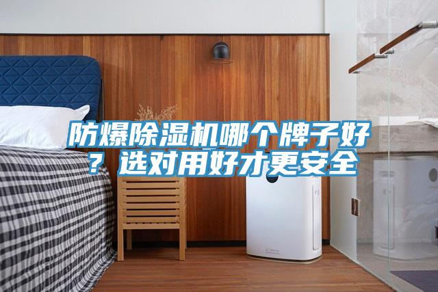 防爆除濕機(jī)哪個(gè)牌子好？選對(duì)用好才更安全