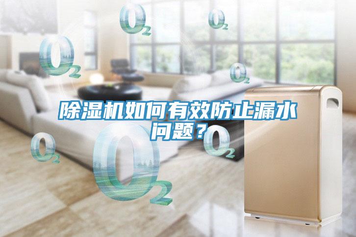 除濕機(jī)如何有效防止漏水問題？