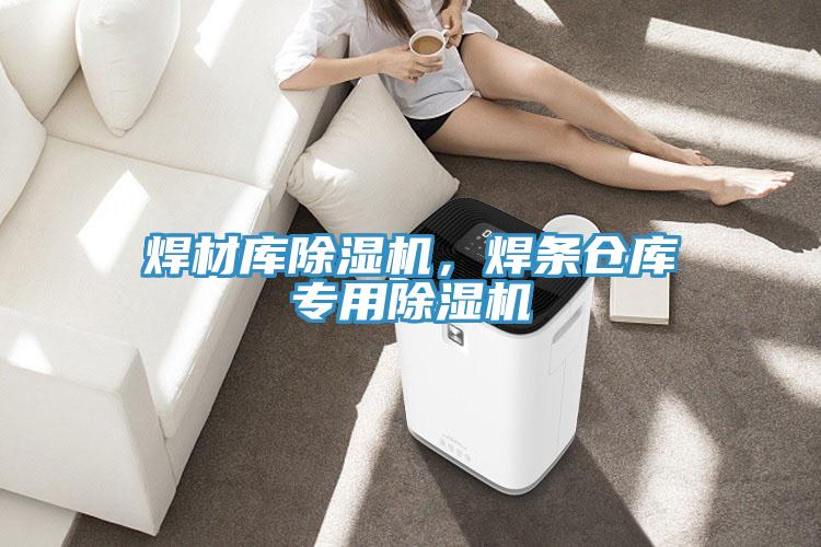焊材庫除濕機(jī)，焊條倉庫專用除濕機(jī)
