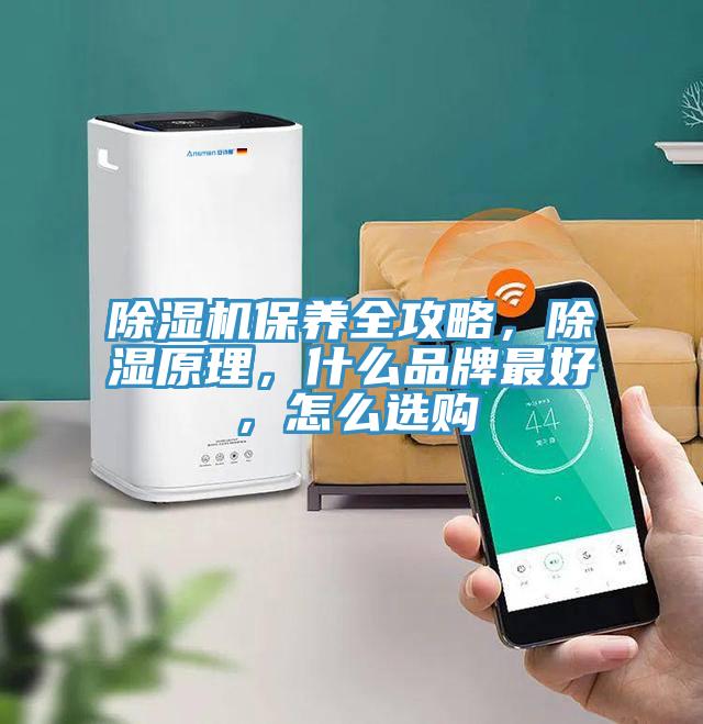 除濕機保養(yǎng)全攻略，除濕原理，什么品牌最好，怎么選購