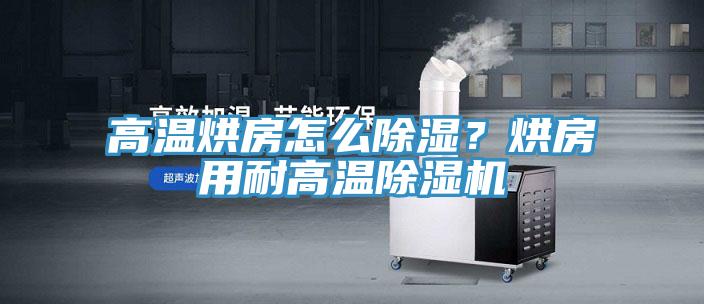 高溫烘房怎么除濕？烘房用耐高溫除濕機