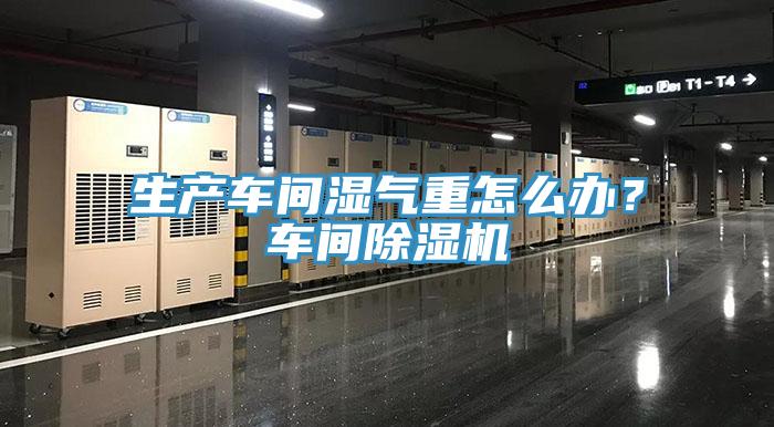生產(chǎn)車間濕氣重怎么辦？車間除濕機(jī)