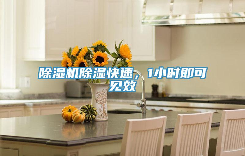 除濕機除濕快速，1小時即可見效