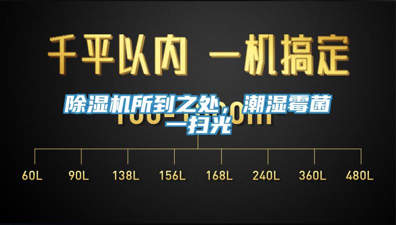 除濕機(jī)所到之處，潮濕霉菌一掃光