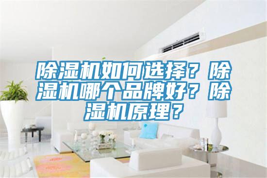 除濕機(jī)如何選擇？除濕機(jī)哪個品牌好？除濕機(jī)原理？
