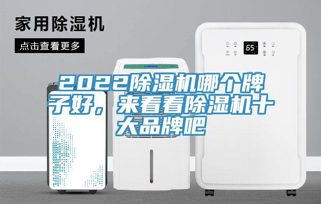 2022除濕機(jī)哪個(gè)牌子好，來看看除濕機(jī)十大品牌吧