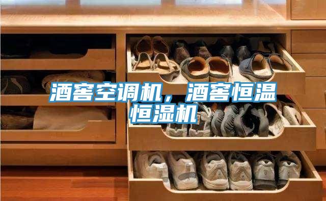 酒窖空調(diào)機(jī)，酒窖恒溫恒濕機(jī)