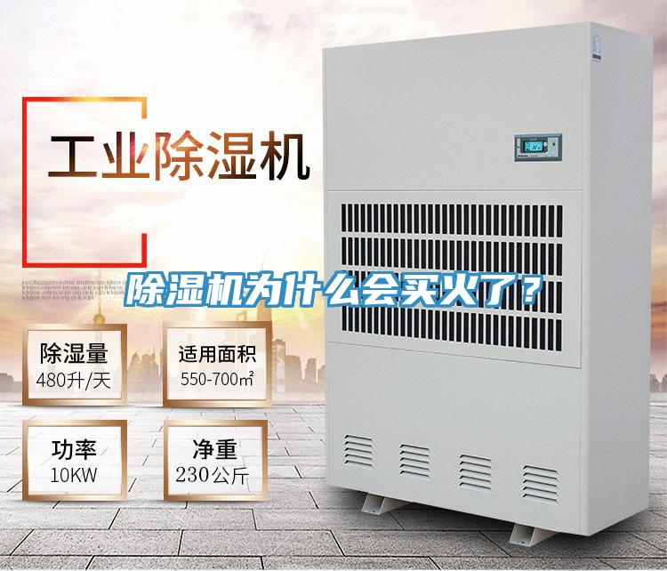 除濕機(jī)為什么會買火了？