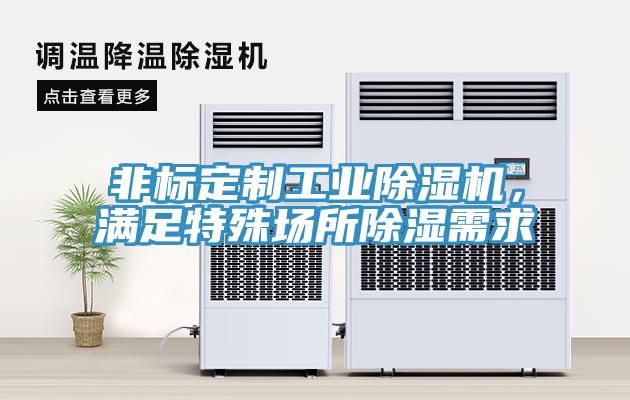 非標定制工業(yè)除濕機，滿足特殊場所除濕需求