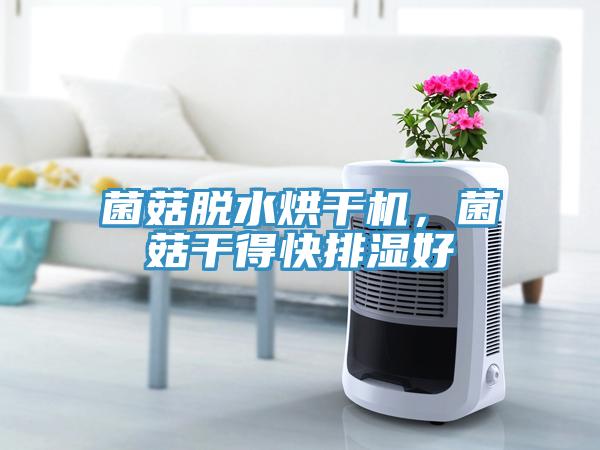 菌菇脫水烘干機(jī)，菌菇干得快排濕好