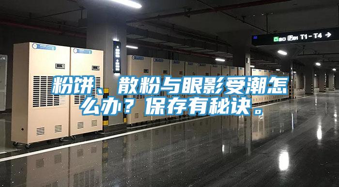粉餅、散粉與眼影受潮怎么辦？保存有秘訣。