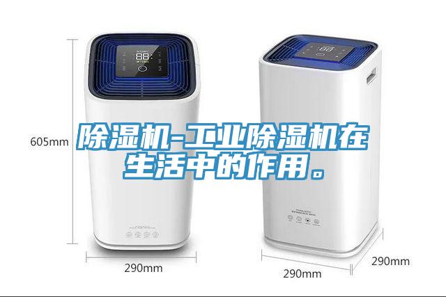 除濕機(jī)-工業(yè)除濕機(jī)在生活中的作用。