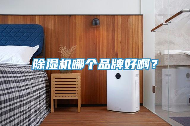 除濕機(jī)哪個品牌好?。?></div>
								<div   id=