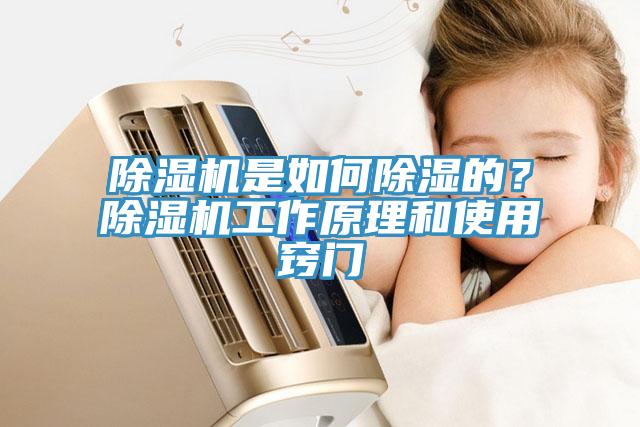 除濕機(jī)是如何除濕的？除濕機(jī)工作原理和使用竅門