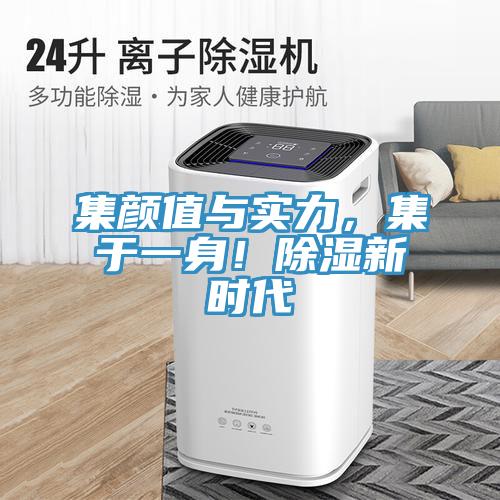 集顏值與實力，集于一身！除濕新時代