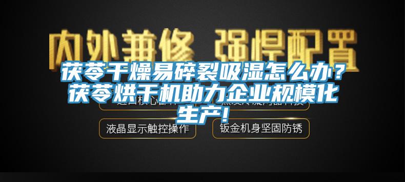 茯苓干燥易碎裂吸濕怎么辦？茯苓烘干機(jī)助力企業(yè)規(guī)模化生產(chǎn)!
