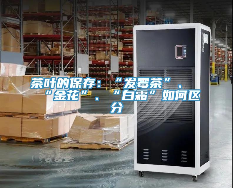 茶葉的保存：“發(fā)霉茶”、“金花”、“白霜”如何區(qū)分
