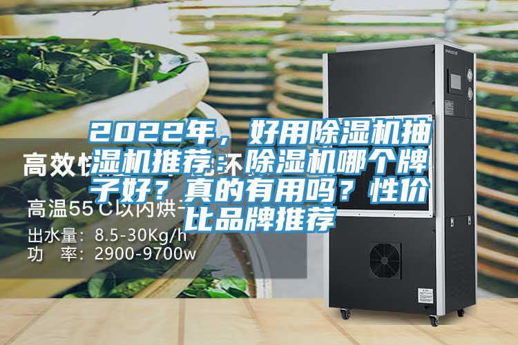 2022年，好用除濕機(jī)抽濕機(jī)推薦：除濕機(jī)哪個(gè)牌子好？真的有用嗎？性價(jià)比品牌推薦