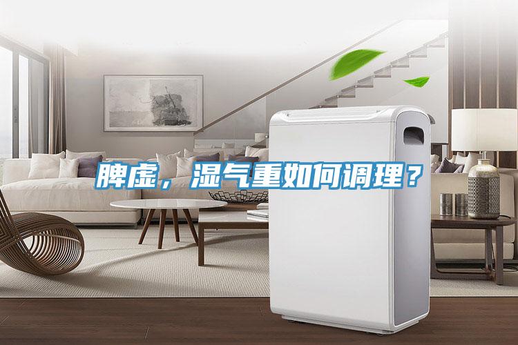 脾虛，濕氣重如何調理？